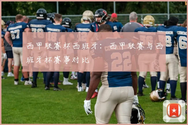 西甲联赛杯西班牙：西甲联赛与西班牙杯赛事对比