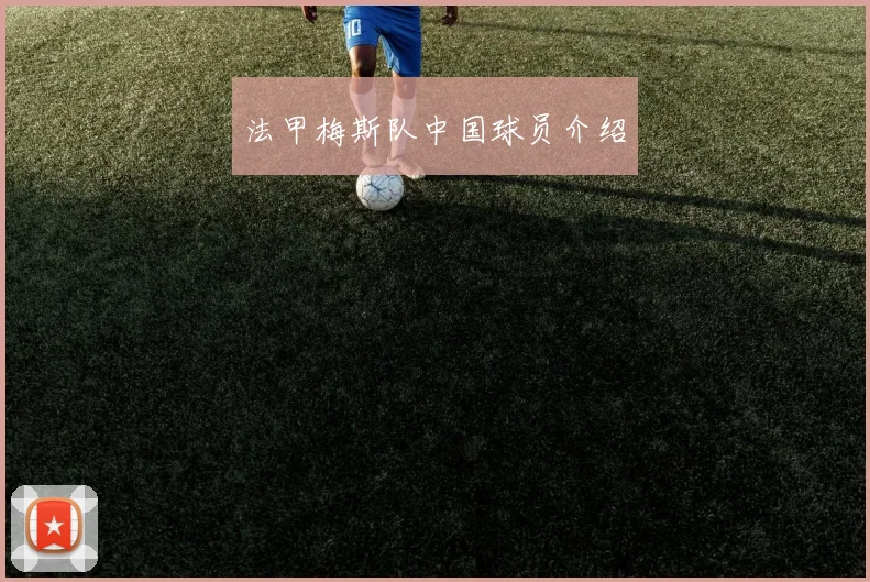 法甲梅斯队中国球员介绍