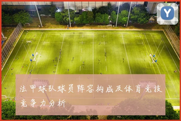 法甲球队球员阵容构成及体育竞技竞争力分析